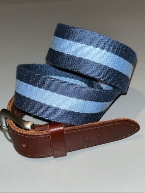 Striped Blue Webbing Belt with Brown Leather Trim